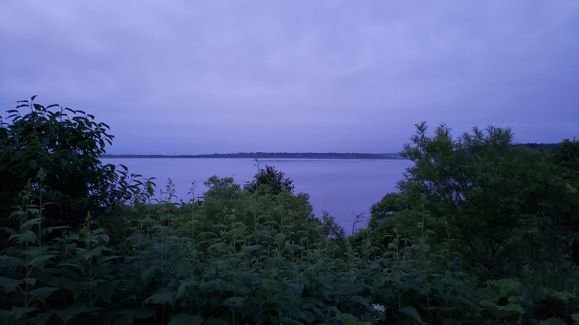 夕方の根室の風蓮湖の写真